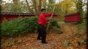 Een oosterse vaardigheid