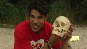 Van mensaap naar Homo sapiens