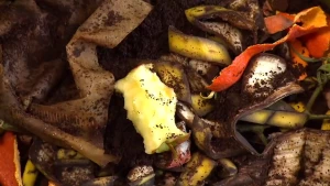 Drie verdiepingen compost, water en gft