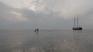 Dieren hebben het Wad nodig