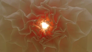 Kunstwerken die natuur en techniek samenbrengen