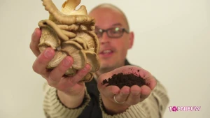 Foto van man die een aantal oesterzwammen vasthoudt en in zijn andere hand een hoopje koffiedik.