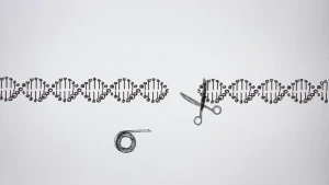 Wat is CRISPR-Cas?
