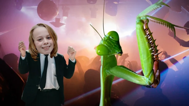 Hoe ademen insecten? | Schooltv