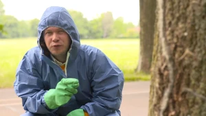 Foto van presentator bij eiken in beschermingspak en handschoenen aan.