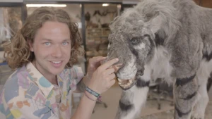 Een foto van Pascal bij een model van de uitgestorven sabeltandtijger. Het dier heeft een grijze vacht met witte stukken en zwarte strepen, een roze neus en blauwgrijze ogen. De bek staat iets open en de scherpe tanden in de onderkaak zijn te zien.