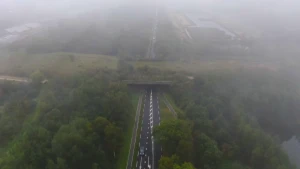 Een foto vanuit de lucht genomen met lichte mist of door witte wolken heen. Onderop is een groot ecoduct te zien, dat over een autoweg loopt. Een ecoduct is een soort brug, bestaande uit gras en andere groene natuur, waar dieren overheen kunnen lopen.