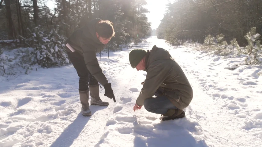 Een foto van een besneeuwd pad in een bos . Links staat Toon gebogen op de foto en wijst naar het pad op de grond. Ernaast zit Rene op zijn hurken en kijkt naar het pad. Ze zoeken sporen van dieren in de sneeuw.