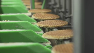 Een foto van een metalen rand in een fabriek, waar vijf stroopwafels opliggen, de Nederlandse lichtbruine, ronde koeken met stroop ertussen. Links zijn groene plastic stukken te zien die naast de lopende band staan waar de stroopwafels opgeplaatst worden.