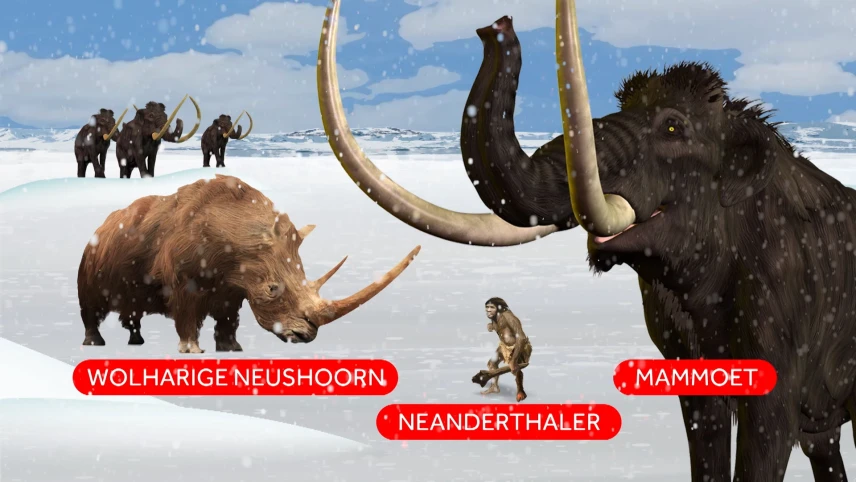 Een tekening van levende dieren uit de ijstijd vóór een vlakte van ijs. Een lichtbruine wolharige neushoorn met twee hoorns op zijn hoofd, een neanderthaler, een uitgestorven mensensoort met een knots en een mammoet, een soort bruinharige olifant.