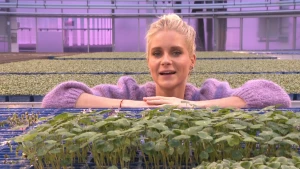 Een foto van Janouk die in een kas haar armen heeft liggen op een rek met blauwe bakjes. Het zijn bakjes met groene blaadjes en stengeltjes van microgroenten, allemaal plantjes van een paar dagen oud die net zijn begonnen te groeien of ontkiemen. 