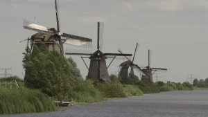 Een foto van vier molens aan de waterkant. Het zijn de molens van Kinderdijk. De molens hebben ieder vier wieken en zijn zwart tot donkergrijs van kleur. Voor de molens zijn groene struiken aan de waterkant te zien en voor de voorste molen een steiger. 