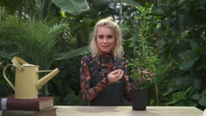 Een foto van presentator Janouk achter een tafel met een plant. Op de tafel staat ook een gieter. Achter haar zijn allemaal bomen.
