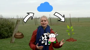 Een foto van presentator Janouk die op een grasveld staat. De volgorde waarin stikstof ontstaat is voor Janouk getekend: een plant die groeit door stikstof, een koe die de plant eet, poep van de koe en een wolk, de lucht waar de stikstof terechtkomt.