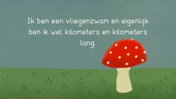 Een ondergronds web van schimmeldraden
