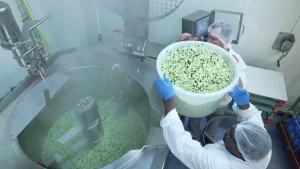 Een foto van twee mensen bij een grote metalen mengbak. In de bak liggen veel blokjes groente en er komt stoom vanaf. De twee mensen met haarnetjes op houden een grote bak vol groente omhoog om die erbij te doen.