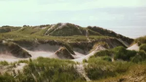 Een foto van de duinen aan het strand onder een lichtblauwe lucht. De duinen zijn begroeid met groene grassen en heuvelachtig. In het midden van de duinen loopt een heuvelachtig zandpad. Rechts op de achtergrond is de zee te zien.