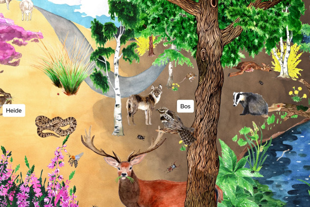 Getekende plaat met dieren in het bos, heide en langs de beek