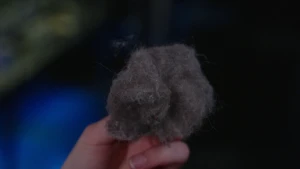 Een foto van een hand die een grote pluk van stof voor de camera houdt. De pluk stof is grotendeels grijs van kleur, met enkele puntjes rood en groen erop.