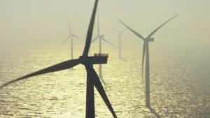 Windmolens op de Noordzee: vloek voor de natuur?