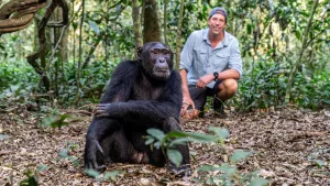 Een foto van presentator Freek die in een tropisch gebied achter een Chimpansee zit. Een Chimpansee is een aapsoort. 