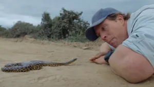 Een foto van presentator Freek die op de grond ligt met zijn hoofd dichtbij de kop van een slang.