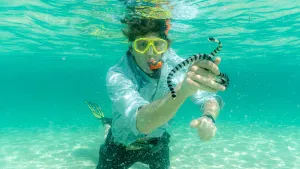 Een foto van presentator Freek die onderwater met een duikbril en snorkel op een zeeslang vasthoudt. 