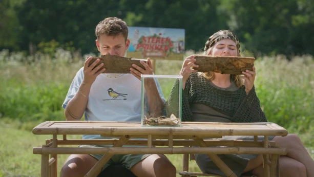 Een foto van presentatoren Jurre en Emma die een stuk hout voor hun gezicht houden terwijl ze aan een tafel zitten. Er staat een bak waar je doorheen kan kijken op tafel waar een Weverboktor in zit. Dat is een soort kever.