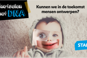 Website DNA