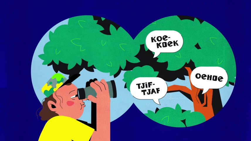 Wat is een onomatopee?