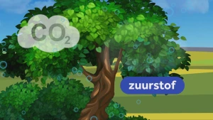 Een animatie van een boom met voor de boom een wolk met de tekst "CO 2" en het woord "zuurstof" in beeld. Ook zijn er doorzichtige cirkels met een blauwe rand zichbaar op en naast de boom.
