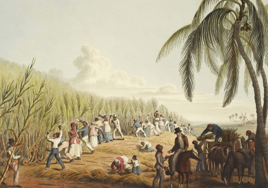 De gevolgen van de trans-Atlantische slavenhandel | Schooltv