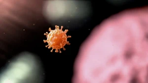 Animatie van virus, een oranje bol met uitsteeksels, die tumor aanvalt, een vage roze bol op de achtergrond.