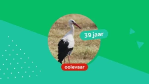 Bejaarde vogels van 13 en 73 jaar