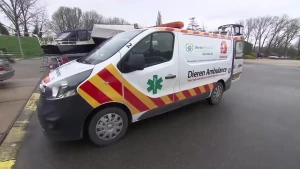 Nieuws over gevechten in Amsterdam, de dierenambulance en dansende ouders