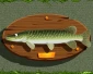 De snoek in het kort