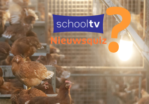 Foto van kippen in een hok/stal met links het Schooltv nieuwsquiz logo