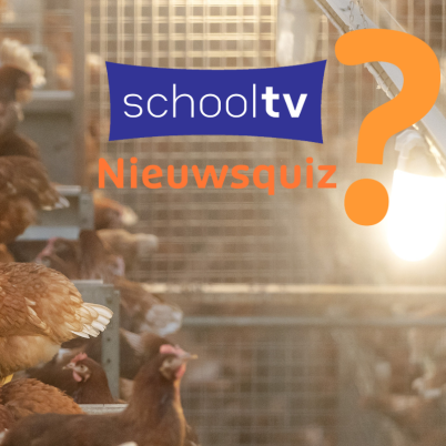 Foto van kippen in een hok/stal met links het Schooltv nieuwsquiz logo