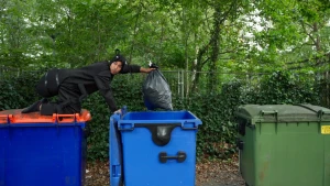 Wildebras stopt een vuilniszak in een grote bak