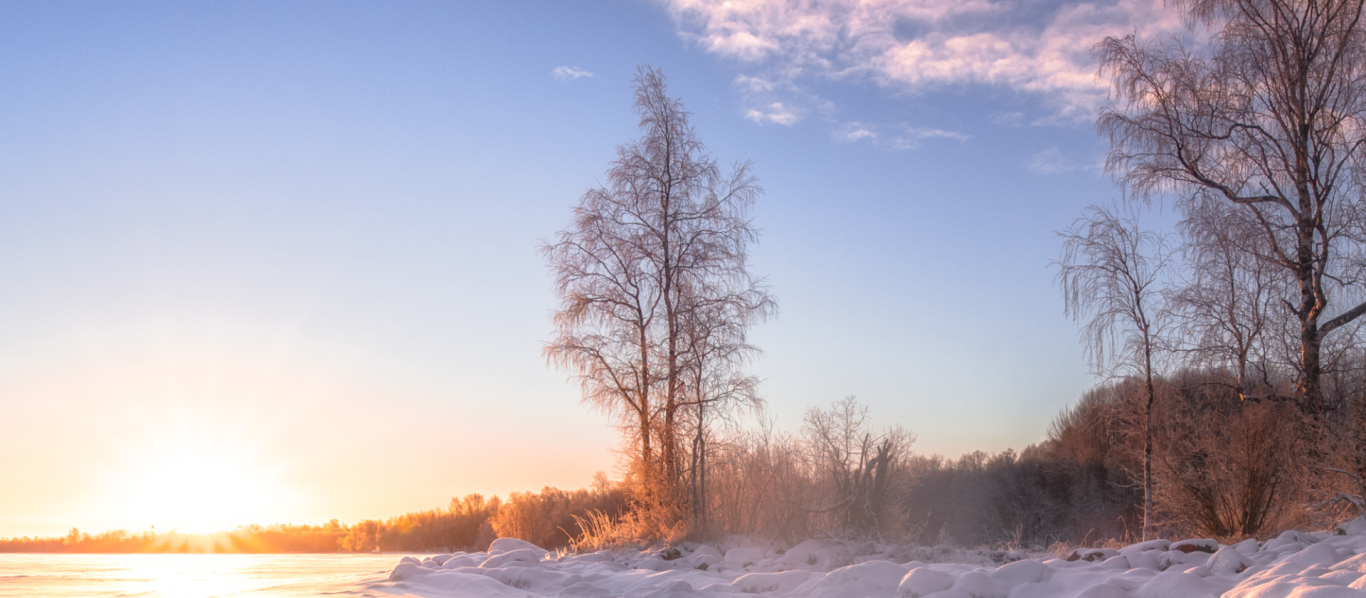 Besneeuws landschap