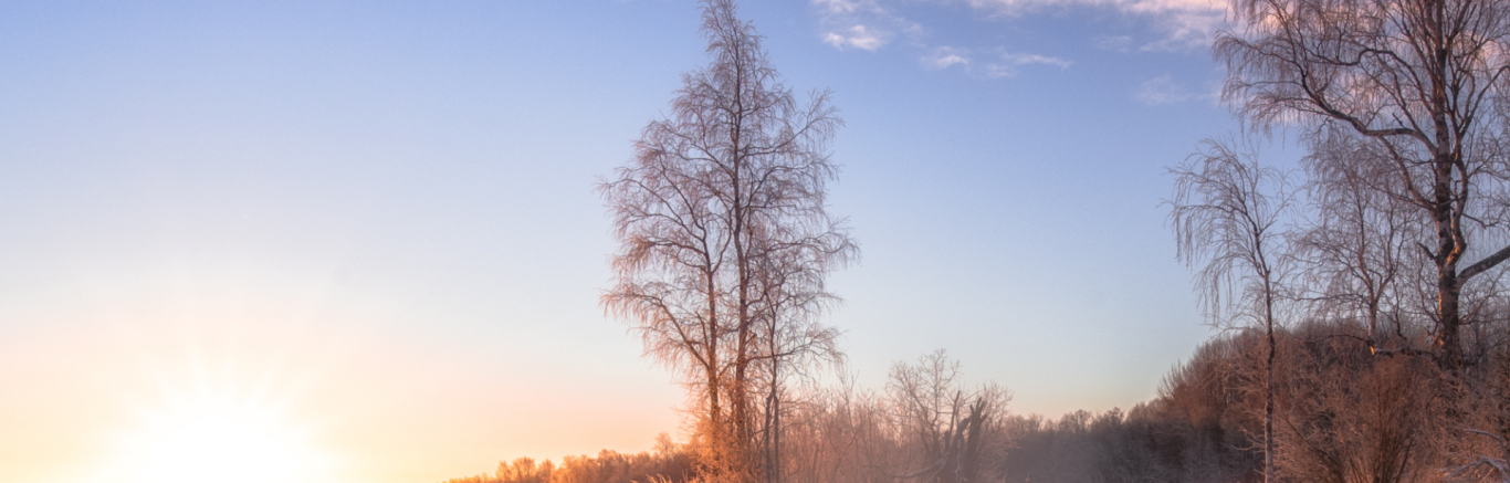 Een foto van een besneeuwd lanschap met een paar bomen, een blauwe lucht en de zon