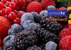 Foto van allerlei bosvruchten zoals aardbeien, bosbessen en bramen door elkaar heen. Rechtsboven het logo van Schooltv Nieuwsquiz.