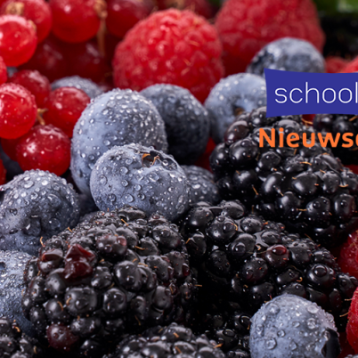 Foto van allerlei bosvruchten zoals aardbeien, bosbessen en bramen door elkaar heen. Rechtsboven het logo van Schooltv Nieuwsquiz.