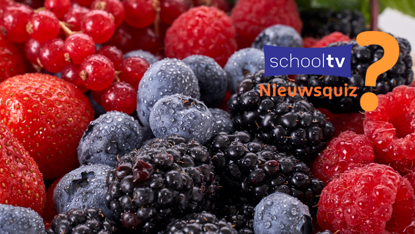 Foto van allerlei bosvruchten zoals aardbeien, bosbessen en bramen door elkaar heen. Rechtsboven het logo van Schooltv Nieuwsquiz.