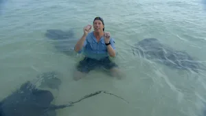 Foto van Freek Vonk met gebarende handen. Hij zit in helder ondiep zeewater waar roggen in zwemmen.