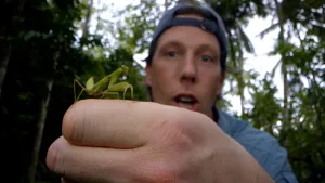 Foto van Freek Vonk die zijn hand uitsteekt. Erop loopt een groene bidsprinkhaan.