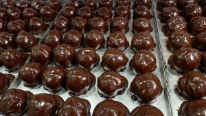 Foto van metalen bakplaten met daarop meer dan 30 vers gemaakte Bossche bollen, ronde soezen met glimmende chocola erover.