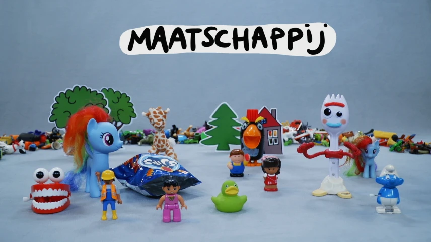 Wat is de maatschappij?