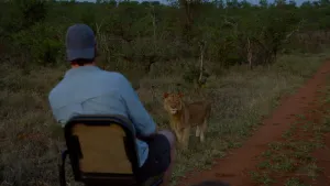 Een foto van Freek Vonk die oog in oog staat met een leeuw op safari.