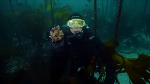 Een foto van Freek Vonk die met een duikpak onderwater tussen het zeewier zwemt een zeedier vasthoudt.